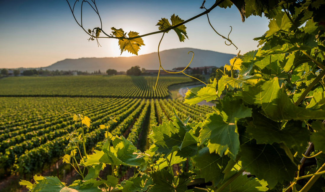 Franciacorta region mood The Frequent Traveller