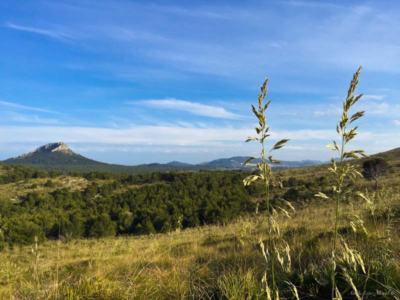 schoensten aussichtspunkte auf Mallorca