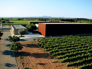 Die besten Weingueter auf Mallorca