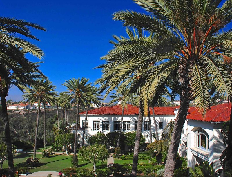 Park Hotel Aviara: Palmen und blauer Himmel