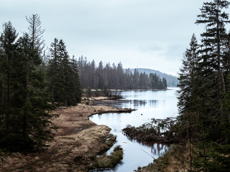 Urlaub in Deutschland Schwarzwald