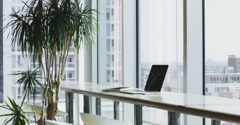 Pflanzen im Büro