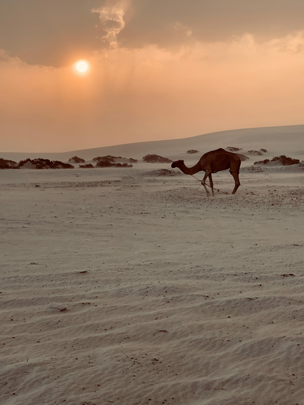 Doha Reise Sehenswuerdigkeiten