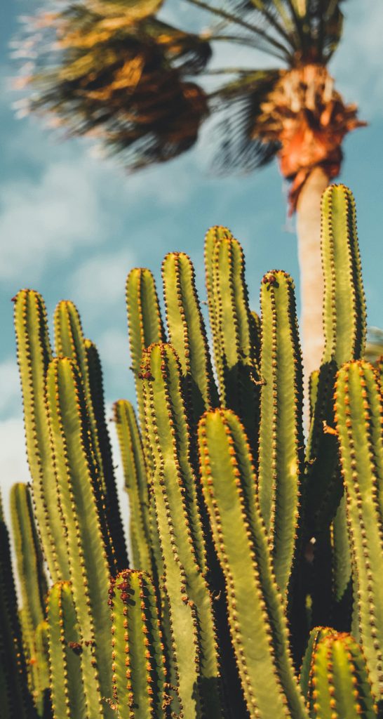 gran canaria sehenswuerdigkeiten