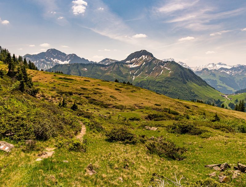 Bregenzerwald