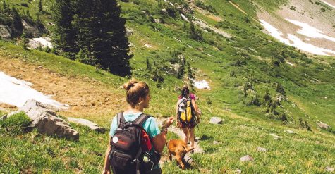 wandern in suedtirol