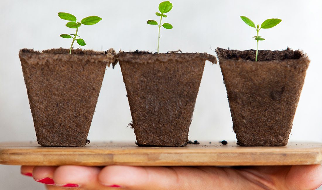 passives einkommen tipps