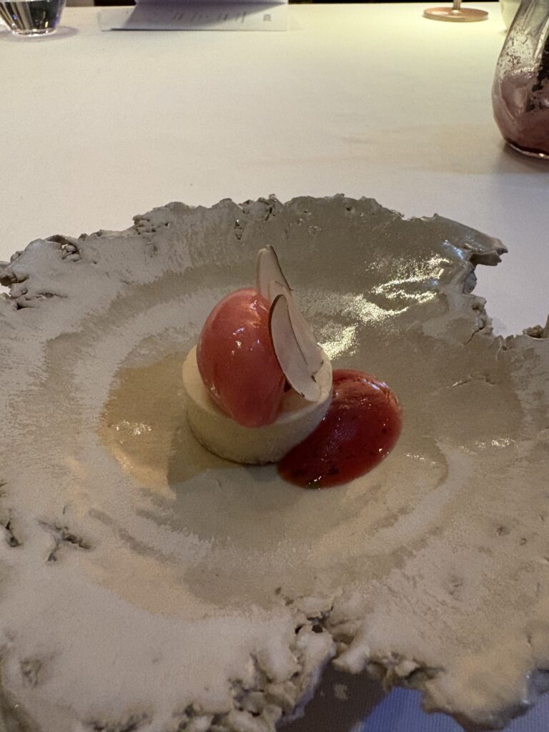 Kreatives Dessert im GOTTHARDT'S by Yanick Noack im FÄHRHAUS Koblenz – Zwei-Sterne-Kulinarik mit kunstvoller Präsentation.